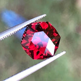2.95 Carats Garnet